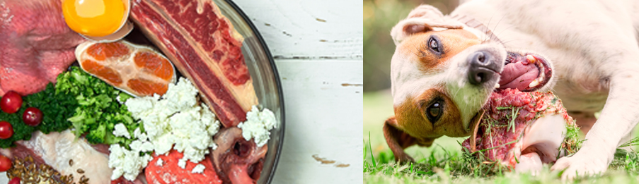 Nachbars Lumpi - BARF-Coaching